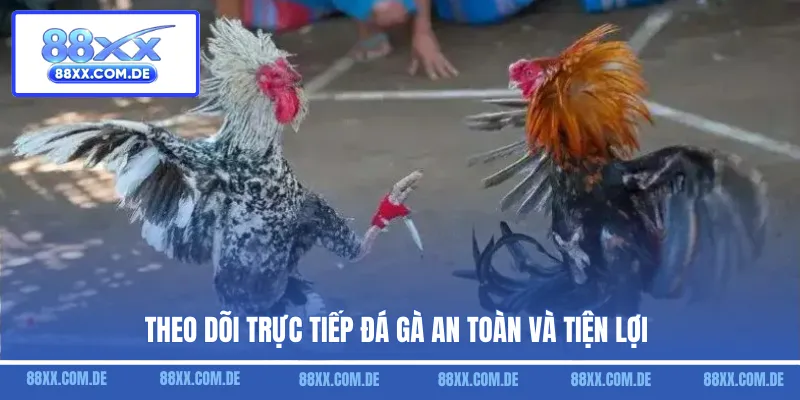 Theo dõi trực tiếp đá gà an toàn và tiện lợi